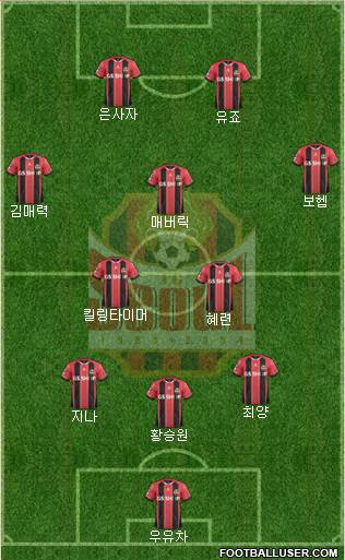 FC Seoul Formation 2014