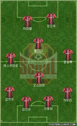 FC Seoul Formation 2014