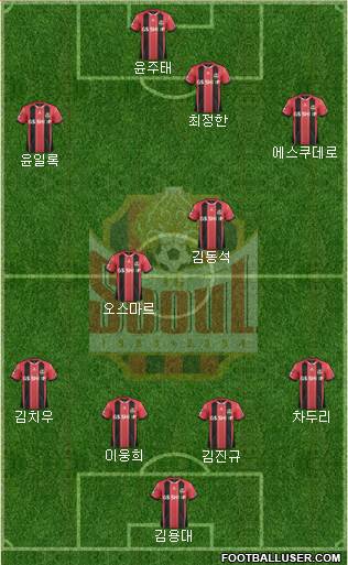 FC Seoul Formation 2014