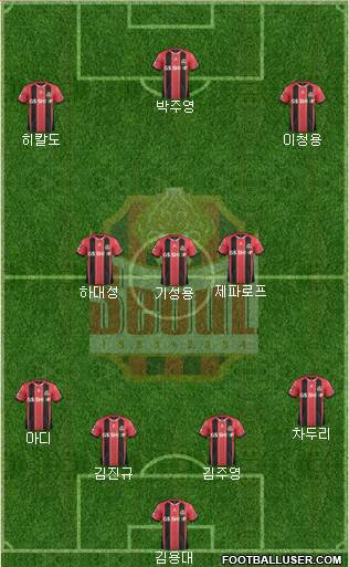 FC Seoul Formation 2014