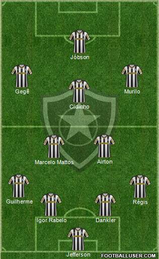 Botafogo FR Formation 2014