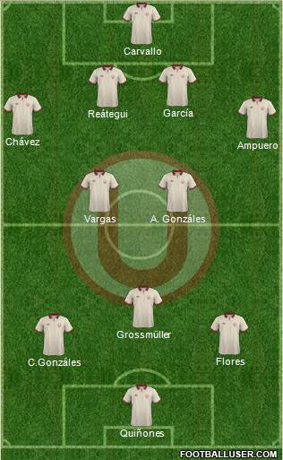 C Universitario D Formation 2015