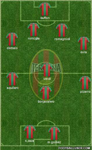 Ternana Formation 2015