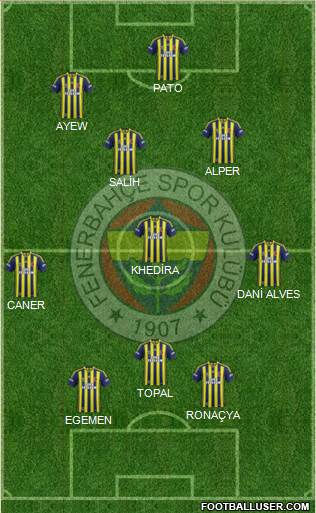 Fenerbahçe SK Formation 2015