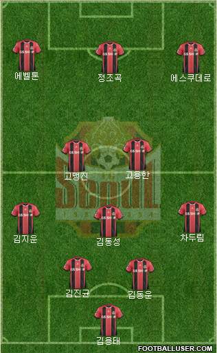 FC Seoul Formation 2015