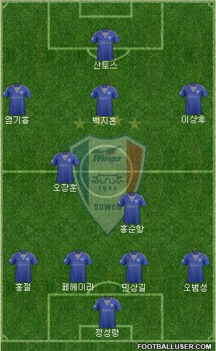 Suwon Samsung Blue Wings Formation 2015