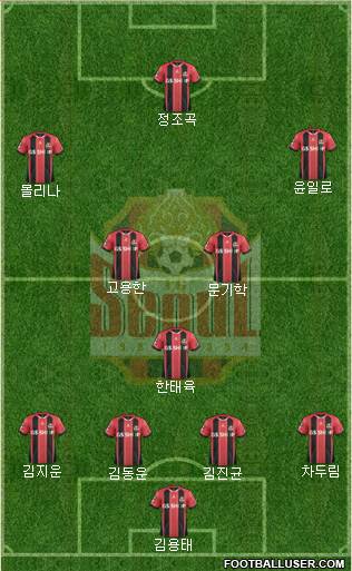 FC Seoul Formation 2015