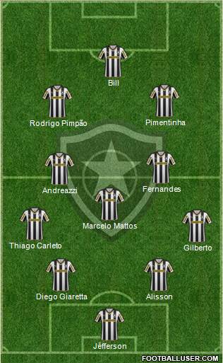 Botafogo FR Formation 2015