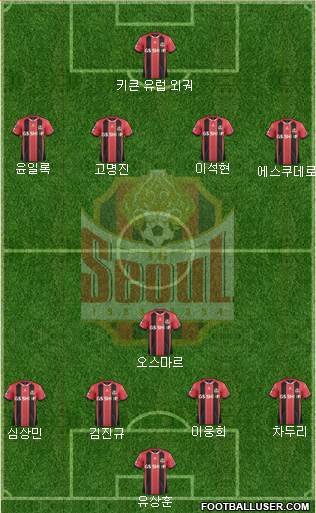 FC Seoul Formation 2015