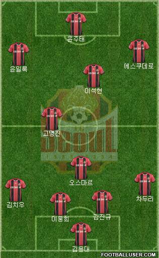 FC Seoul Formation 2015