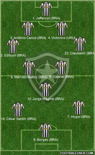 Botafogo FR Formation 2015