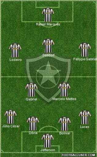 Botafogo FR Formation 2015