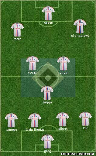 Hamburger SV Formation 2015