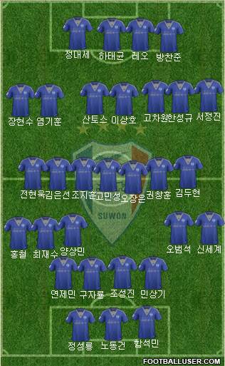 Suwon Samsung Blue Wings Formation 2015