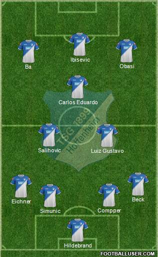 TSG 1899 Hoffenheim Formation 2015