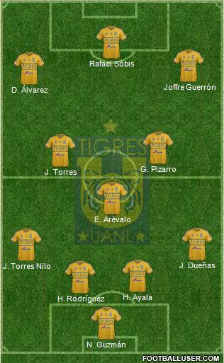 Club Universitario de Nuevo León Formation 2015