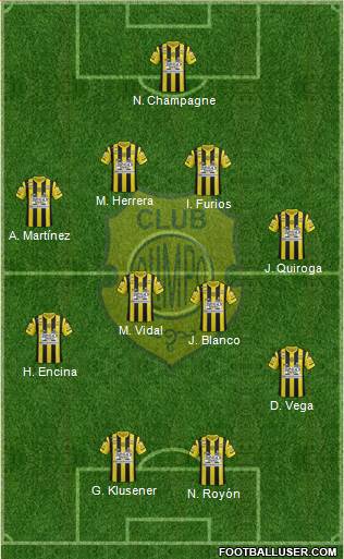 Olimpo de Bahía Blanca Formation 2015