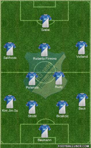 TSG 1899 Hoffenheim Formation 2015