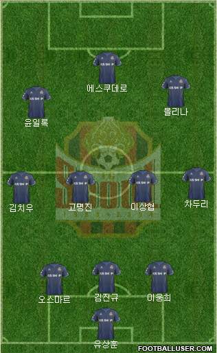 FC Seoul Formation 2015