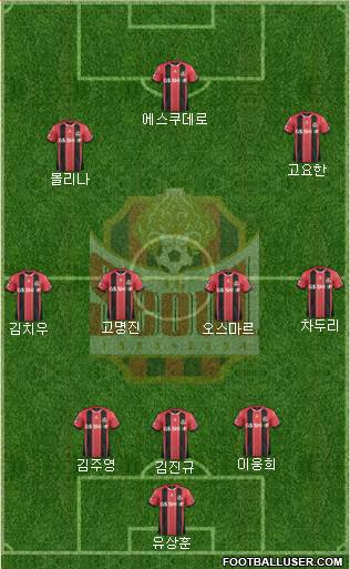 FC Seoul Formation 2015