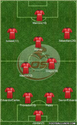 LOSC Lille Métropole Formation 2015