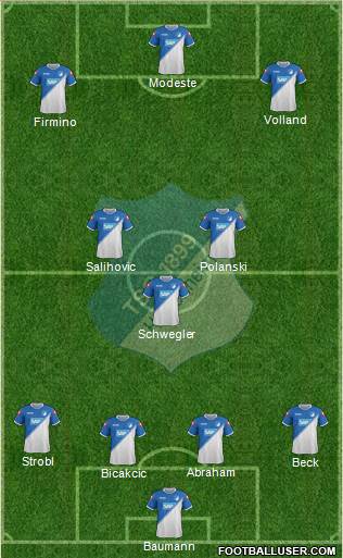 TSG 1899 Hoffenheim Formation 2015