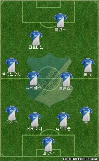 TSG 1899 Hoffenheim Formation 2015