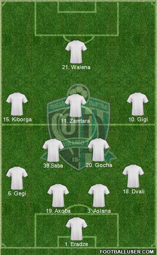 Dinamo Tbilisi Formation 2015