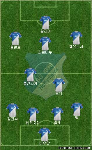 TSG 1899 Hoffenheim Formation 2015