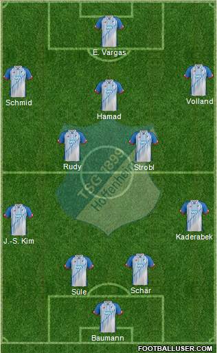 TSG 1899 Hoffenheim Formation 2016