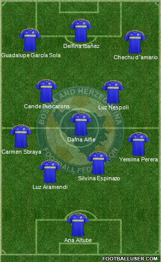 Bosnia and Herzegovina Formation 2016