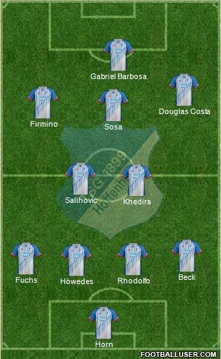 TSG 1899 Hoffenheim Formation 2016