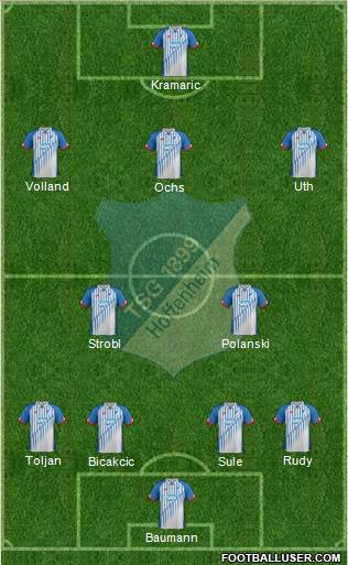 TSG 1899 Hoffenheim Formation 2016