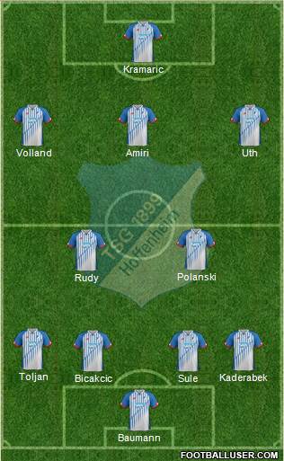 TSG 1899 Hoffenheim Formation 2016