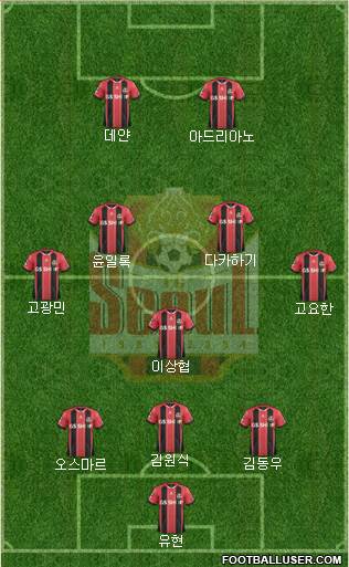 FC Seoul Formation 2016