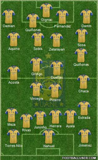 Club Universitario de Nuevo León Formation 2016