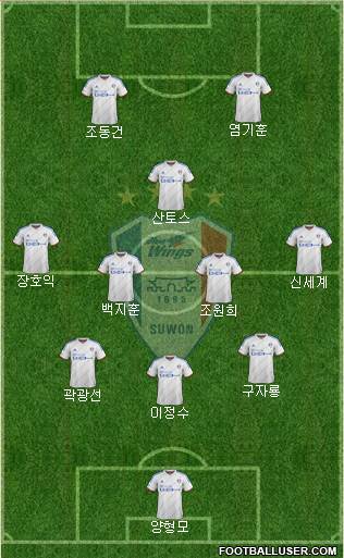 Suwon Samsung Blue Wings Formation 2016