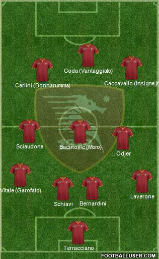 Salernitana Formation 2016