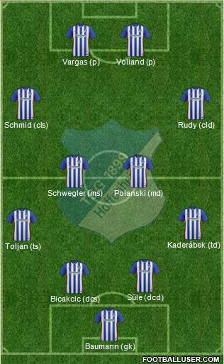 TSG 1899 Hoffenheim Formation 2016