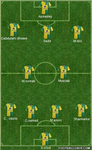 Norwich City Formation 2016