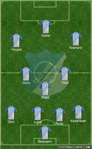 TSG 1899 Hoffenheim Formation 2016