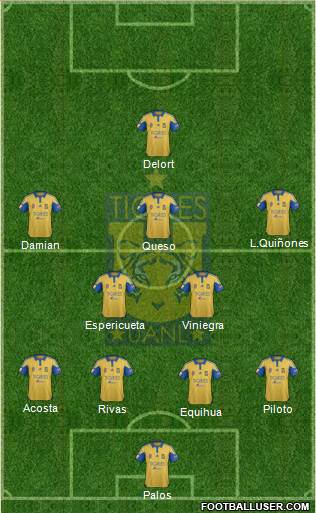 Club Universitario de Nuevo León Formation 2016