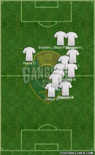 Gangwon FC Formation 2016