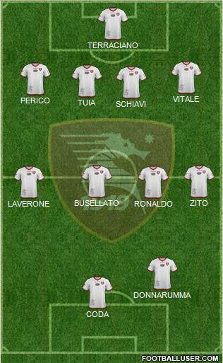 Salernitana Formation 2016