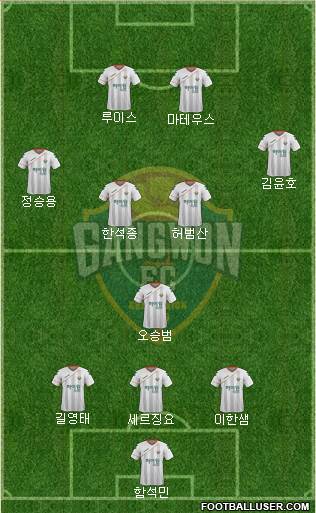 Gangwon FC Formation 2016