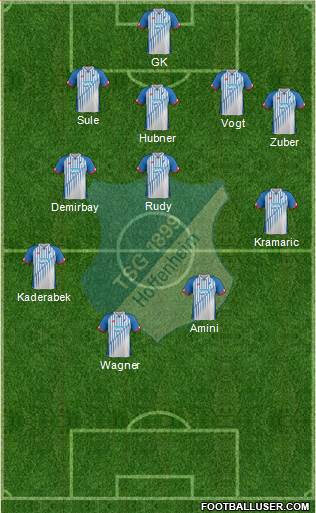 TSG 1899 Hoffenheim Formation 2016