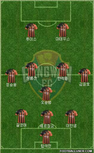 Gangwon FC Formation 2016