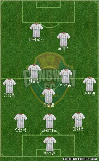 Gangwon FC Formation 2016