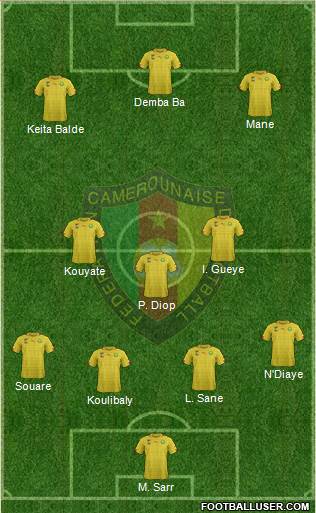 Cameroon Formation 2017