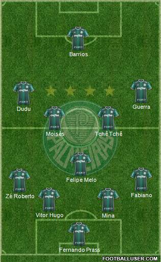 SE Palmeiras Formation 2017